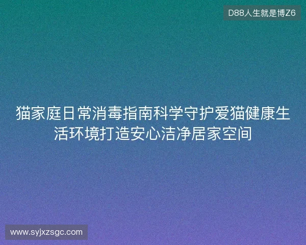 猫家庭日常消毒指南科学守护爱猫健康生活环境打造安心洁净居家空间